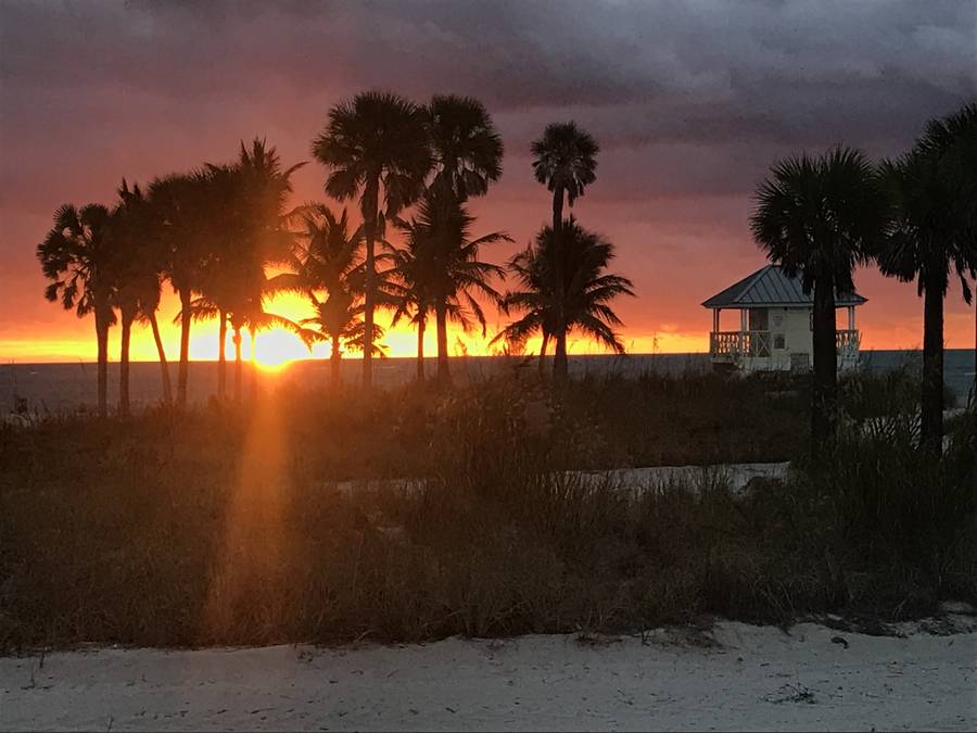 Golden hour palm trees and sand at Key Biscayne
